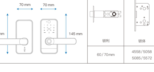 P17 dimensions