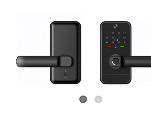 P17 Panel Smart Lock front and rear view